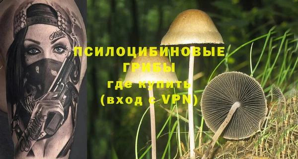 MDMA Premium VHQ Богородицк